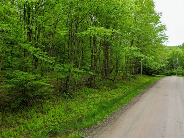 0 Deer Run Rd, Hancock, NY 13783