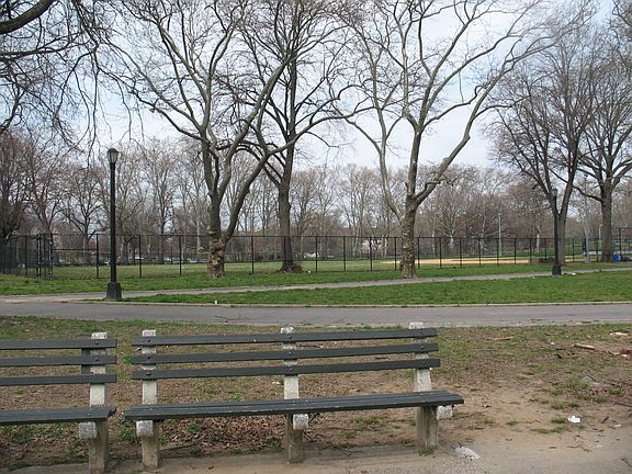 View of Park