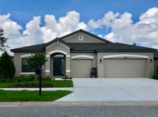 8205 Mallow Mirror Ln, Land O Lakes, FL 34637