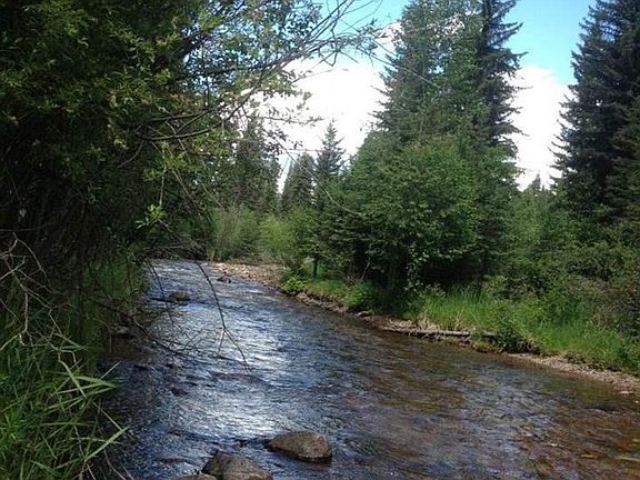 2nd image of 480 Morrell Creek Dr