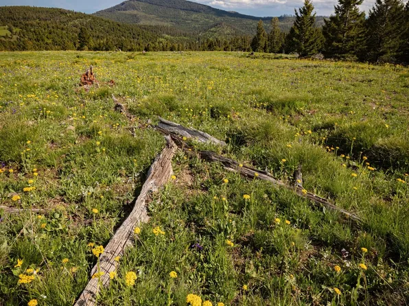TRACT 10 Garnet Range Rd, Drummond, MT 59832