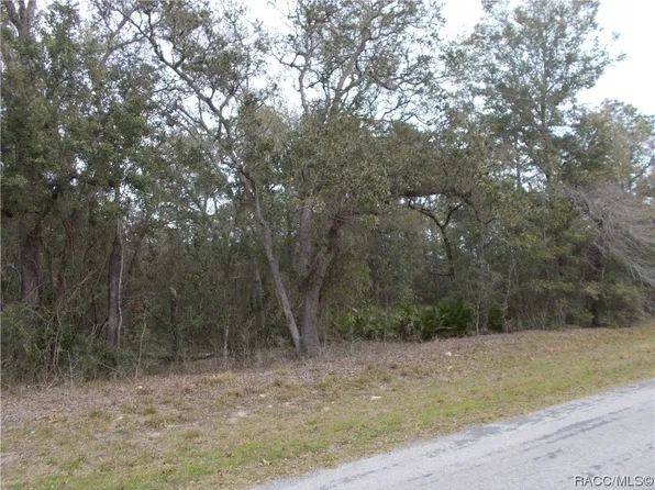 1802 E Ridgefield Dr #19, Hernando, FL 34442