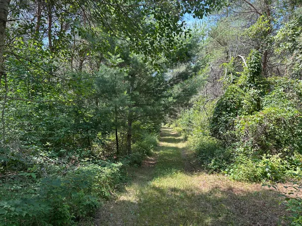 Old Rugged Ln, Reed City, MI 49677