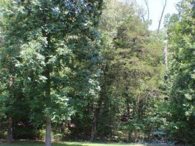 43 Beltline Rd, Bull Shoals, AR, 72619