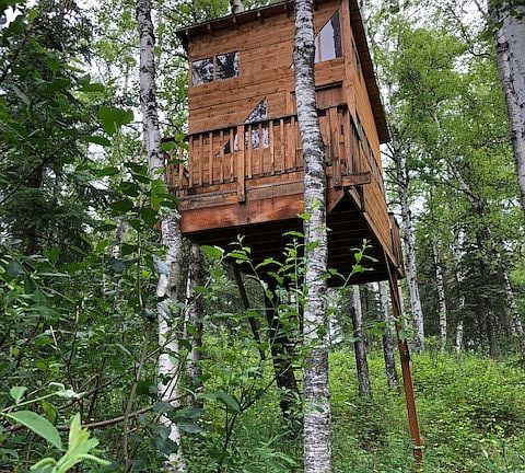 Tree House