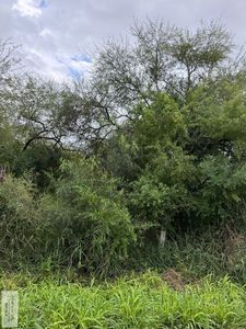 Barlow Rd, San benito, TX, 78586