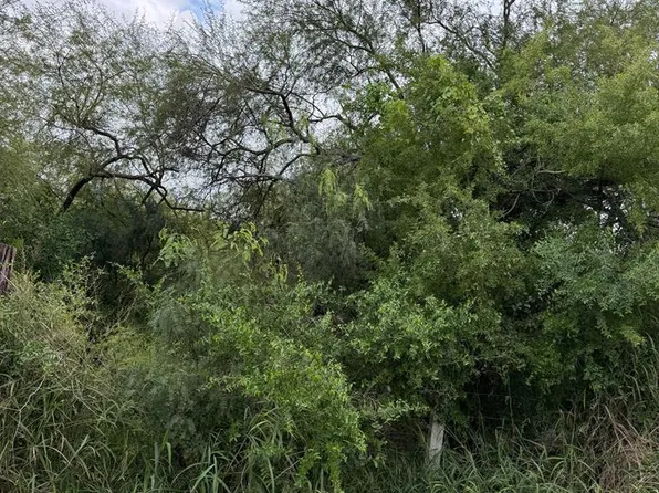 Barlow Rd, San Benito, TX 78586