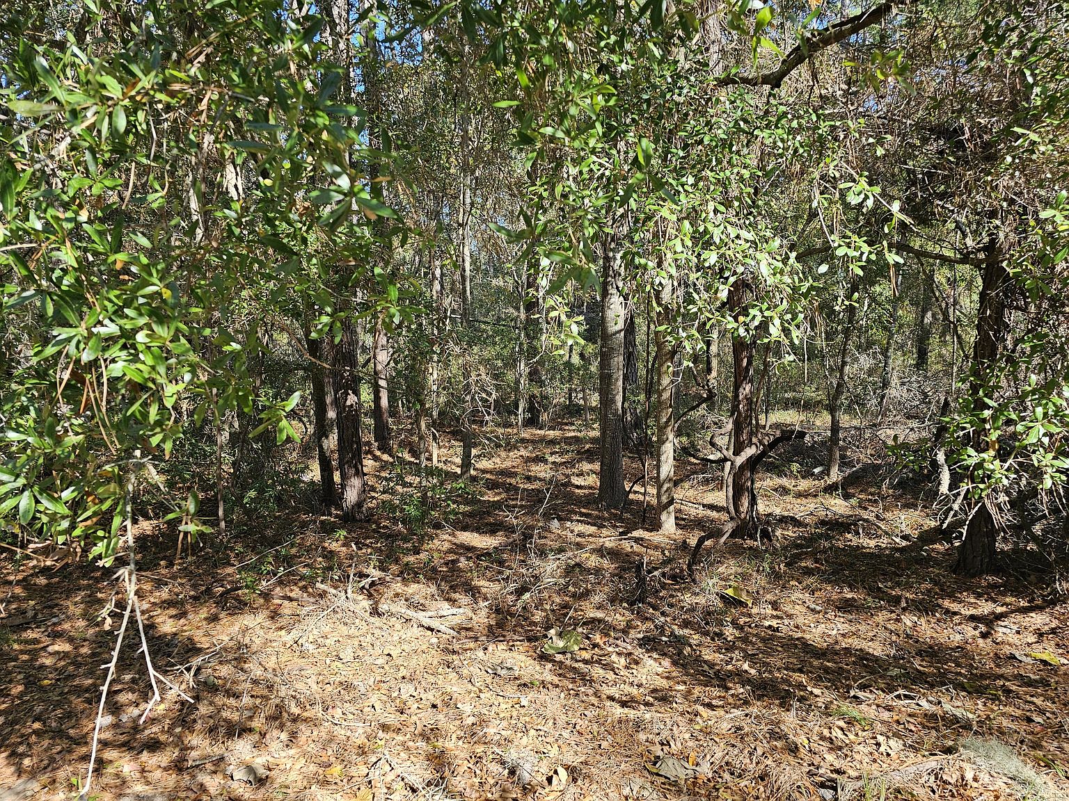 890 Flowers Ln, Edisto Island, SC 29438 Zillow