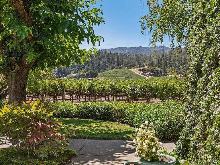 1819 Zinfandel Ln — Photo 62
