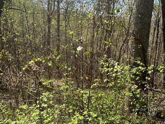 5th image of LOT 27 Jones Ridge Rd
