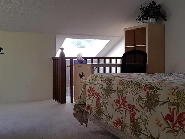 13230 Amble Greene Ct — Photo 22