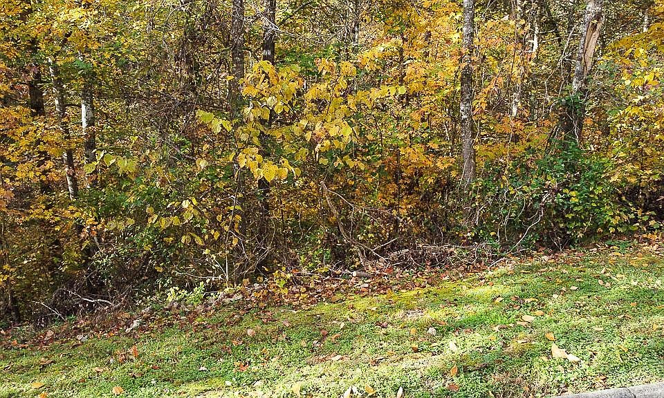 1st image of 85 Smoky Cove Rd