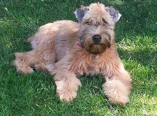 357 S Gordon Way, Los Altos, CA 94022