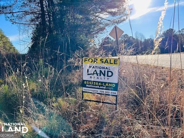 0 Frank Ledbetter Rd, Muscadine, AL 36269