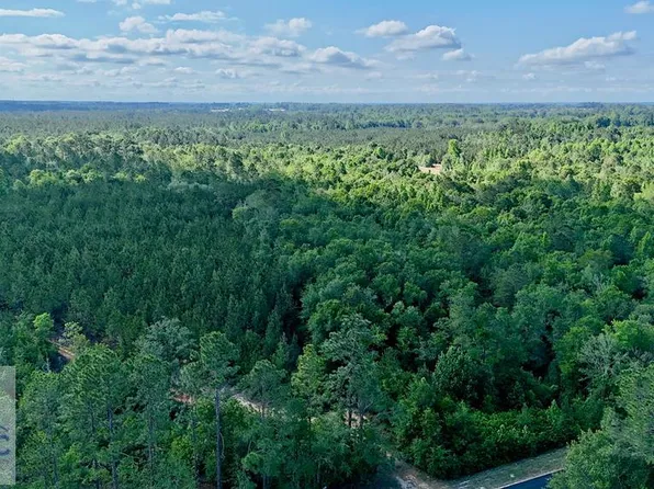 3 Oscar Tippins Rd, Baxley, GA 31513
