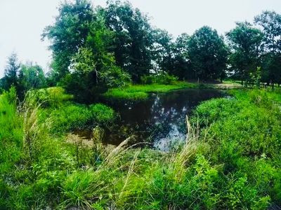 6002 Fm 990, De Kalb, TX, 75559