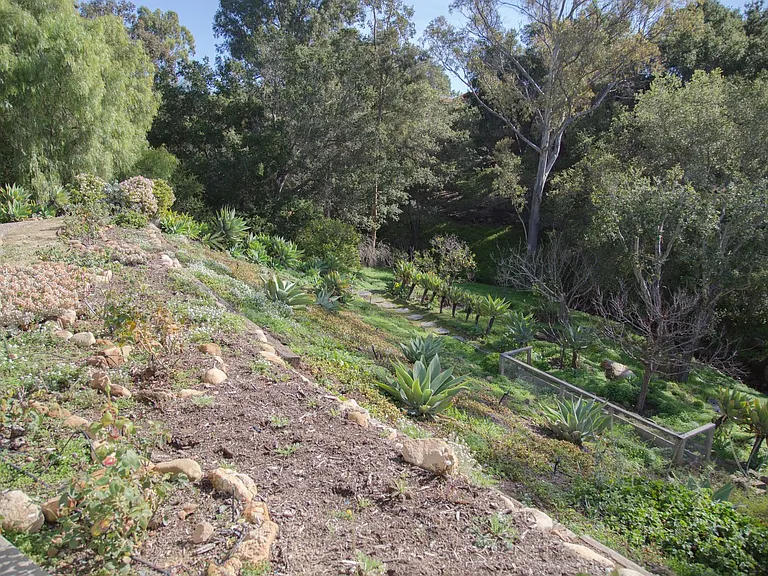 1082 Via Los Padres — Photo 16