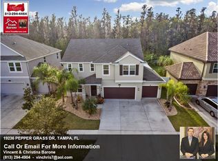 19236 Pepper Grass Dr, Tampa, FL 33647