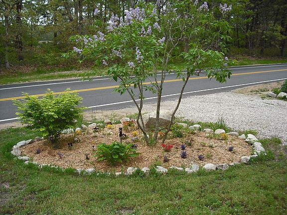 Flower Bed