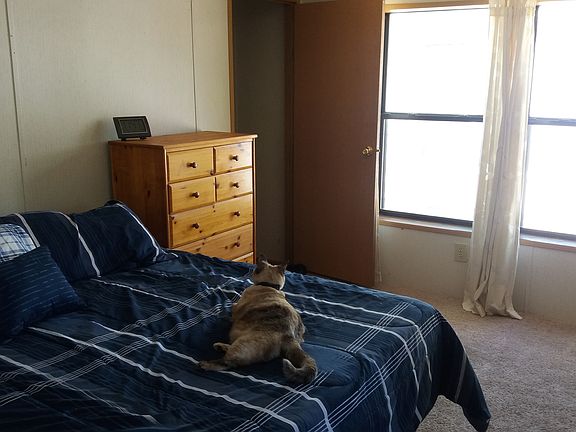 Master Bed fits king size bed with room for furniture. Cat f