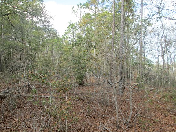 3rd image of 45.14 Acre Southport Supply Rd. Road SE