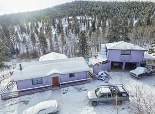 462 Rising Sun Rd, Bailey, CO 80421