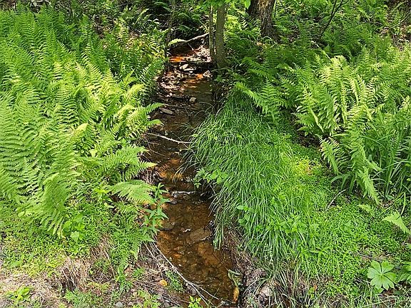 3rd image of Lot 3 Woods Road