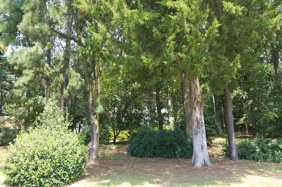 1st image of 159 River Rd