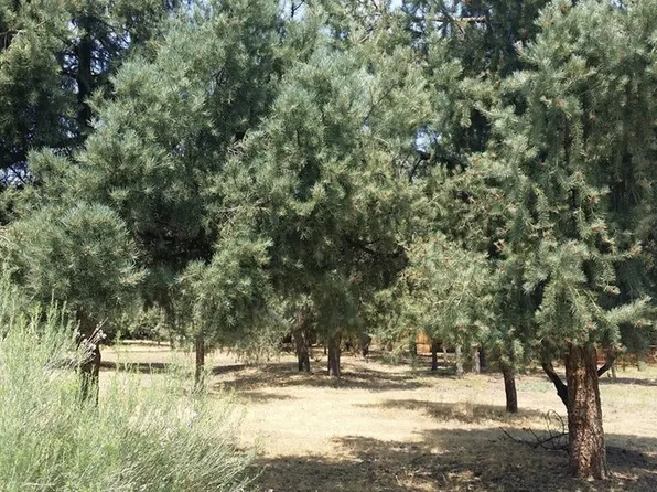 2605 Arbor Dr, Frazier Park, CA 93225