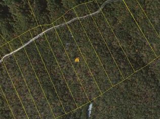 Lookout Mtn Rd, Thorn hill, TN 37881