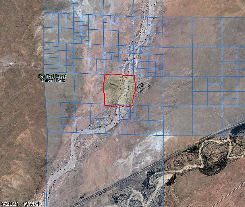1st image of 211-46 Two Petrified Frst