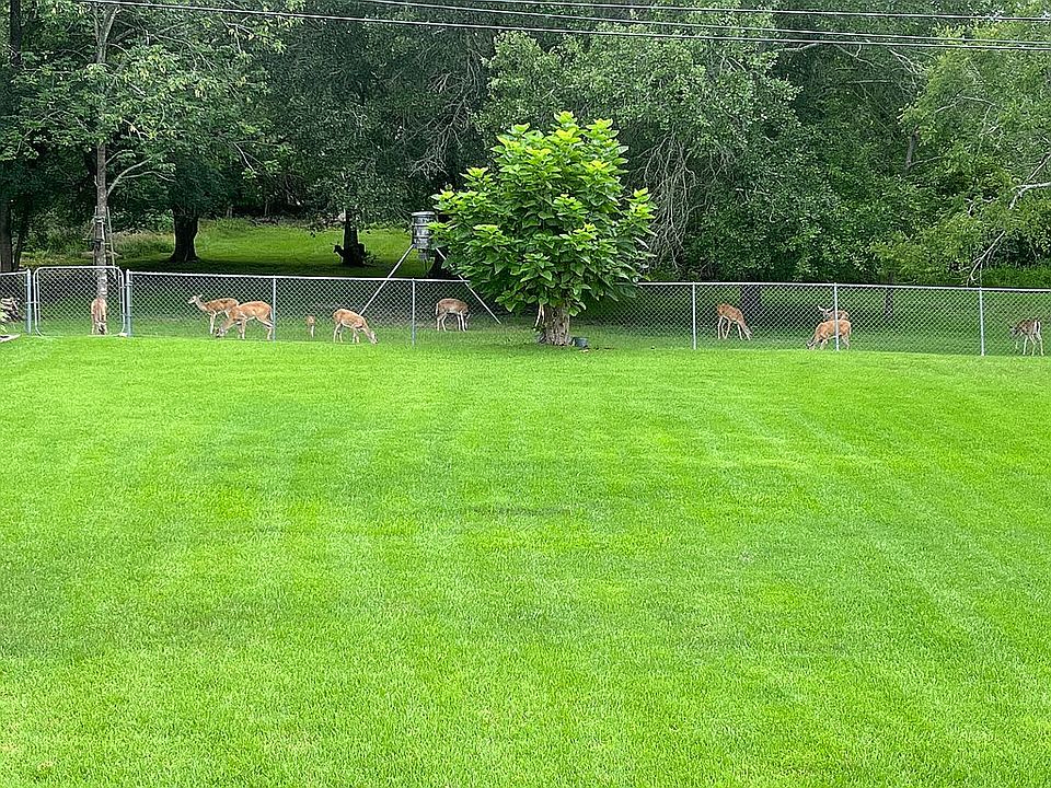 2nd image of 3735 Ravenwood Dr
