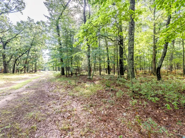 Lots 9 12 & 25 28 W Central Park, Baldwin, MI 49304