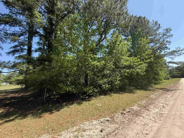 TBD New Bridge Rd., Nichols, SC 29581