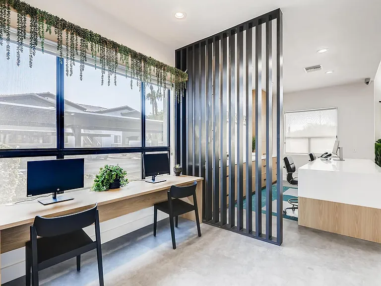 Palm Court Apartments — Photo 16
