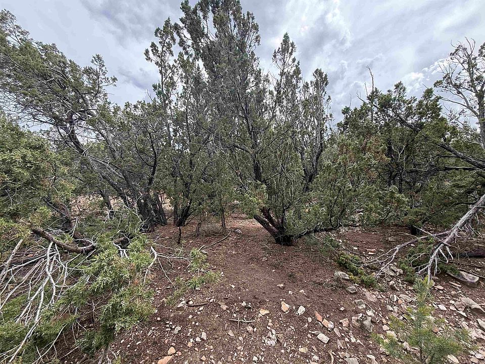 1st image of 68 Mogollon Trl