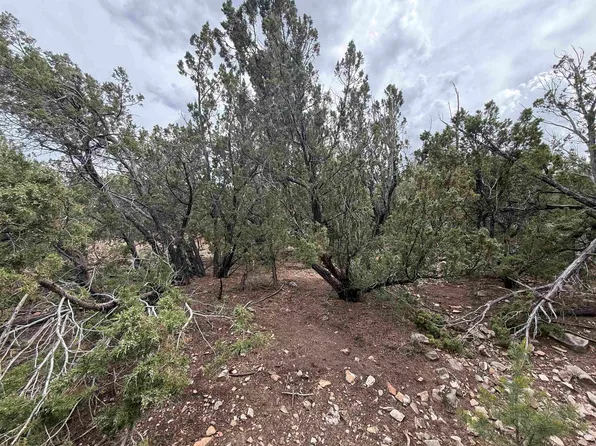 68 Mogollon Trl, High Rolls Mountain Park, NM 88325