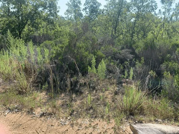 214 Marion Trail, Interlachen, FL 32148