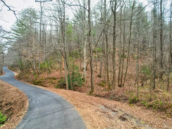 Town Road 6 Old Bucktown Rd, Ellijay, GA 30536
