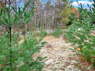 S 33rd Rd, Cadillac, MI 49601