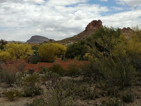 Rear Lot Line(Looking North)