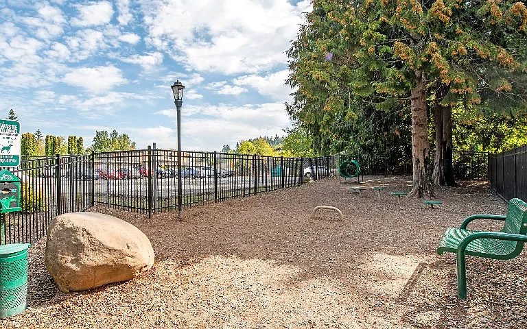 Avana Chestnut Hills — Photo 55