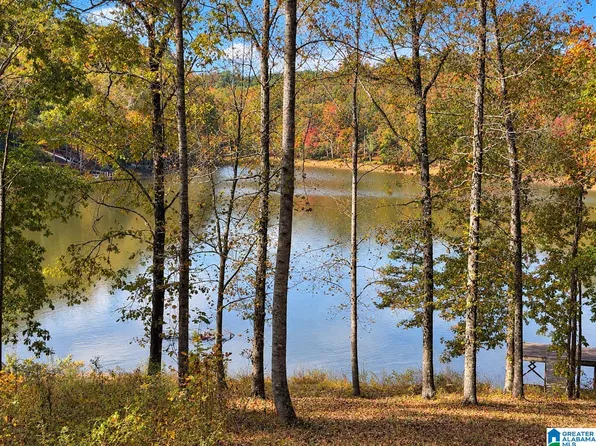 0 Pointe South Dr Lot 17, Lineville, AL 36266