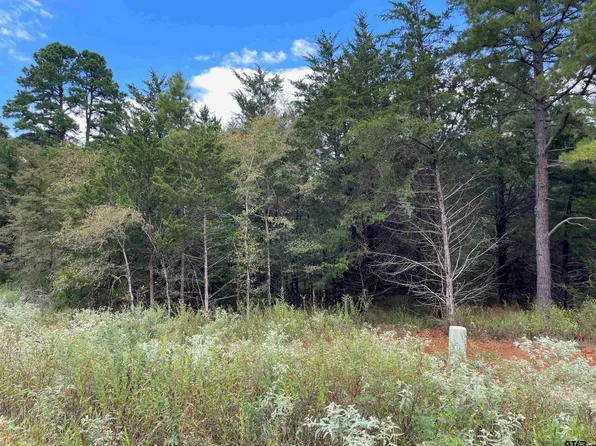Cedarpark Pl Lot 18, Lindale, TX 75771