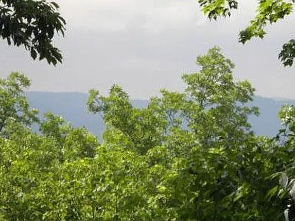 477 Laurel Ridge Dr #2-4203, Ellijay, GA 30536