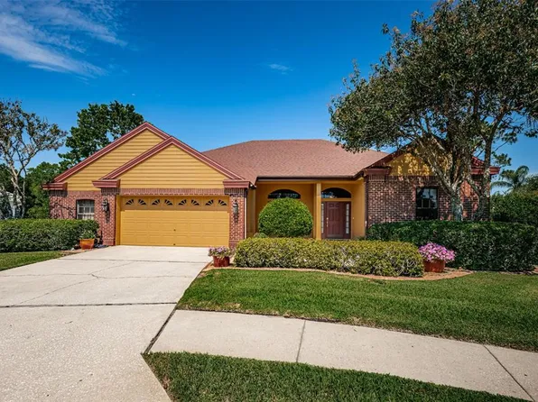 8137 SILVER MIST PLACE, TRINITY, FL 34655