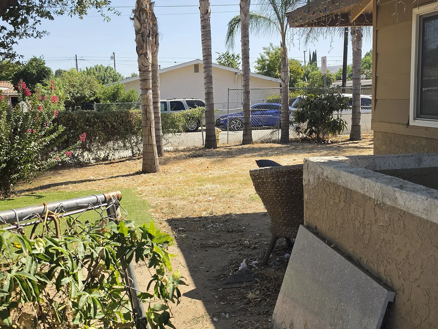 2 bed, 1000 sqft, $1,850 — Photo 4