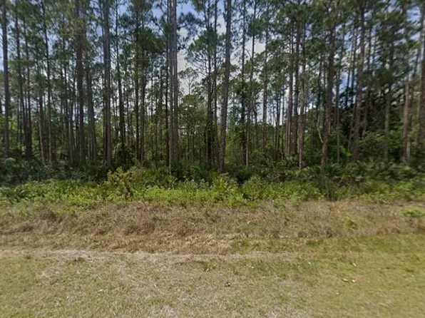 141 E Boundary Dr Lot 9, Georgetown, FL 32139