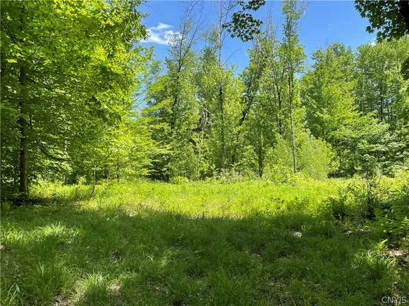 (undisclosed Address), Camden, NY 13316