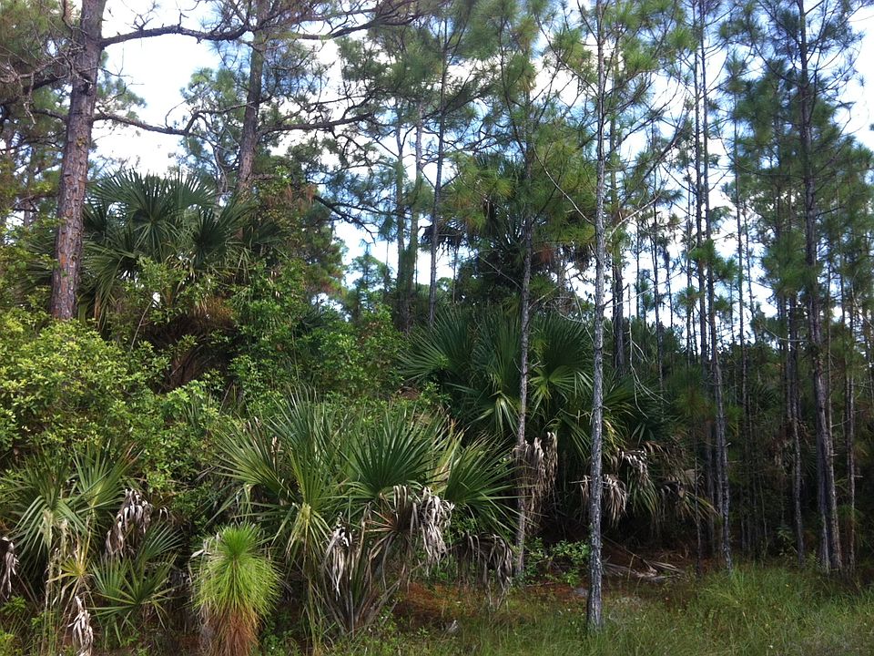 1st image of LOT 13 91st Ave